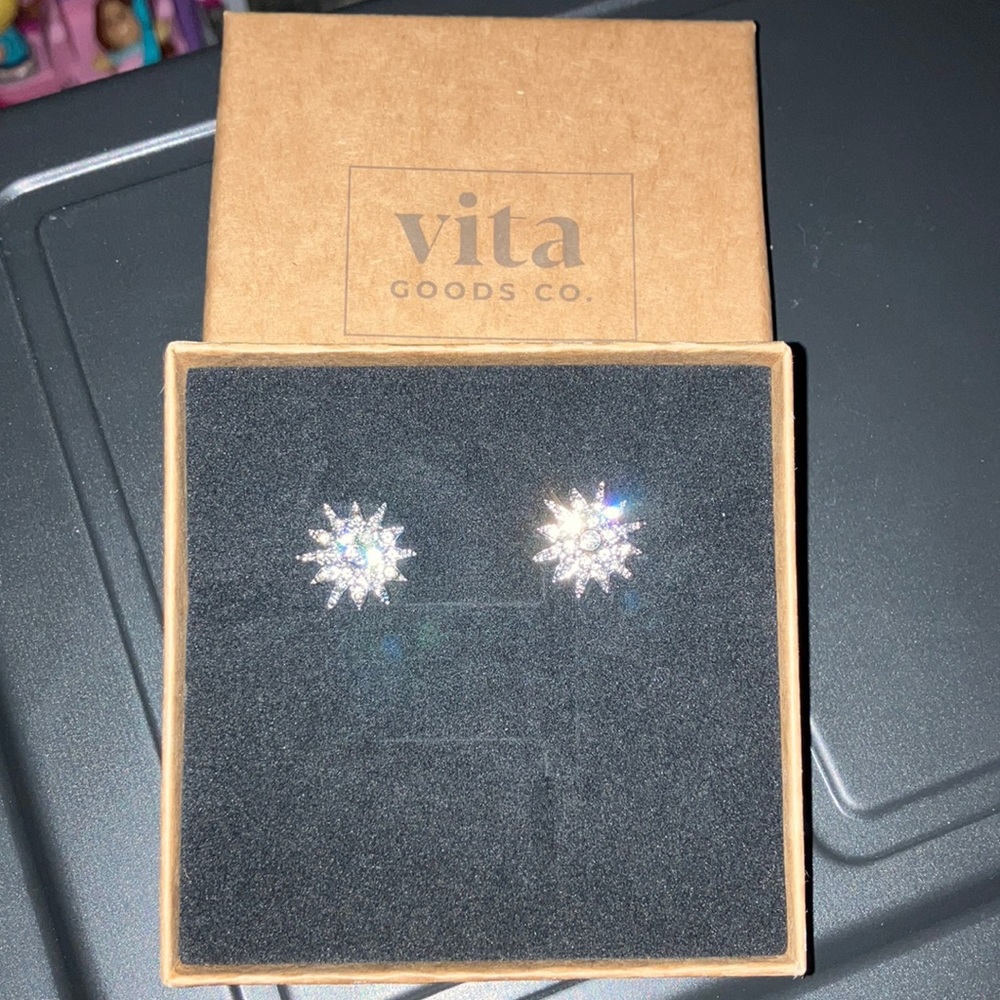 Vita Goods Co. Stardust Stud Earrings